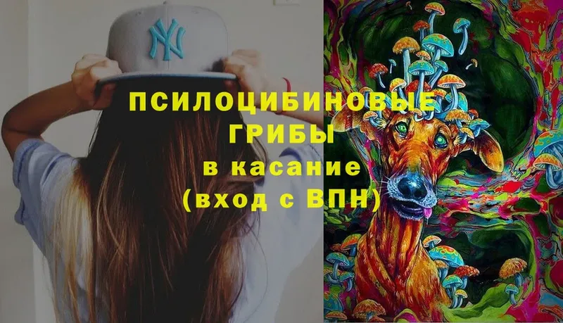 Псилоцибиновые грибы MAGIC MUSHROOMS  купить закладку  Малаховка 